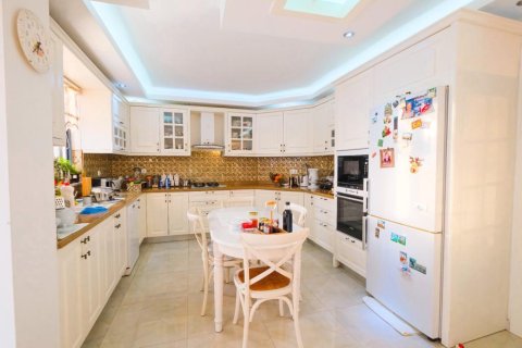 6 bedrooms Penthouse in Chau Lang, Vietnam No. 13719 3