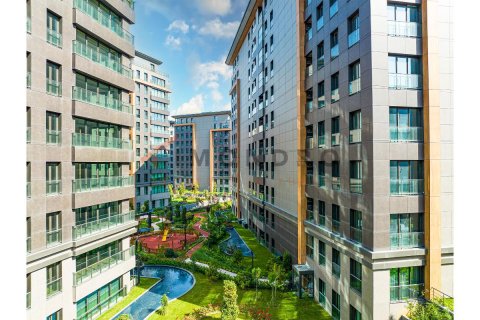 4 chambres Appartement à Bach Long Vi, Vietnam No. 80427 16