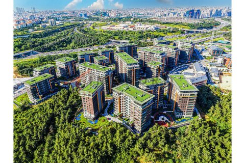 4 chambres Appartement à Bach Long Vi, Vietnam No. 80427 2