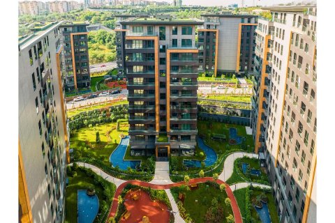 4 chambres Appartement à Bach Long Vi, Vietnam No. 80427 5