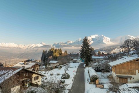 4 bedrooms House in Combloux, France No. 100022 1