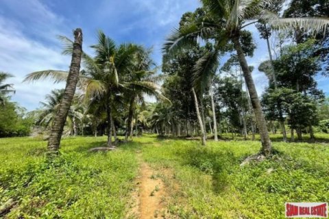 24000m² Land in Pa Klok, Thailand No. 96186 12