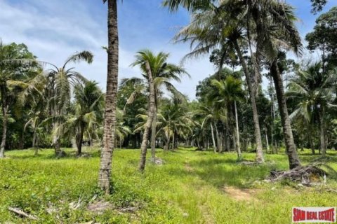 24000m² Land in Pa Klok, Thailand No. 96186 1