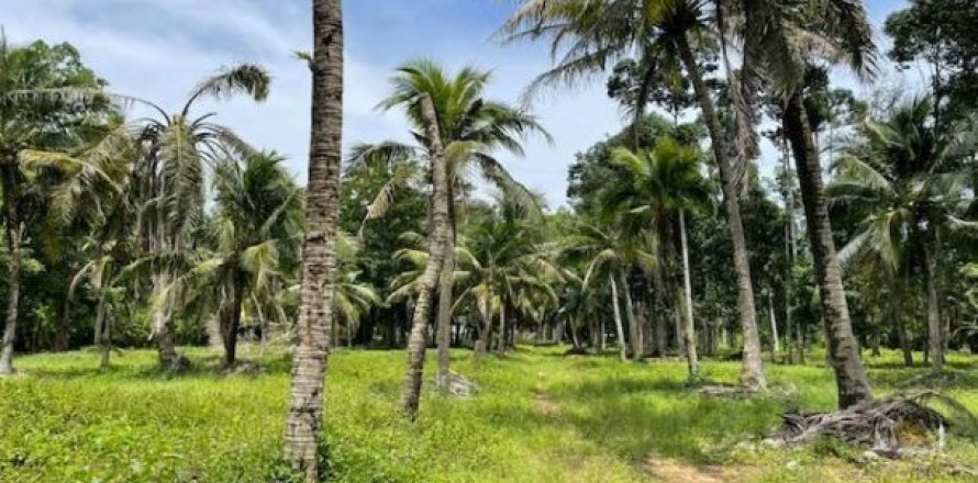 24000m² Land in Pa Klok, Thailand No. 96186