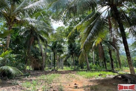 24000m² Land in Pa Klok, Thailand No. 96186 11