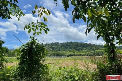 24000m² Land in Pa Klok, Thailand No. 96186 13