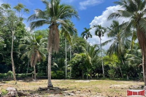 24000m² Land in Pa Klok, Thailand No. 96186 9