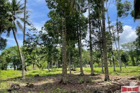 24000m² Land in Pa Klok, Thailand No. 96186 7