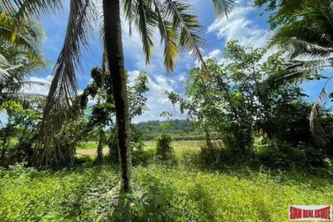 24000m² Land in Pa Klok, Thailand No. 96186 5
