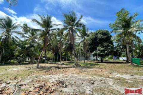 24000m² Land in Pa Klok, Thailand No. 96186 8