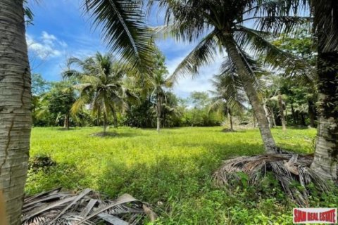 24000m² Land in Pa Klok, Thailand No. 96186 3