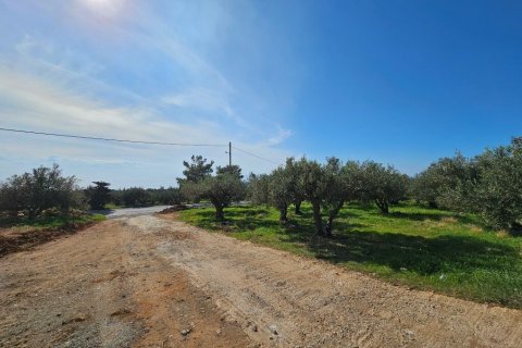 510m² Villa in Ierapetra, Greece No. 108488 6