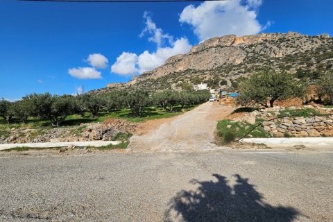 510m² Villa in Ierapetra, Greece No. 108488 10