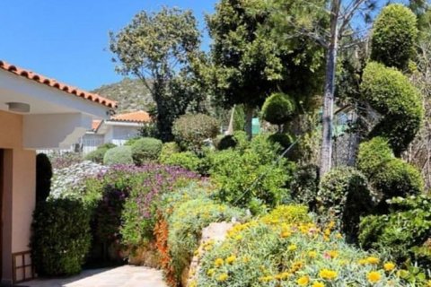 4 dormitorios House en Tala, Cyprus No. 37342 4