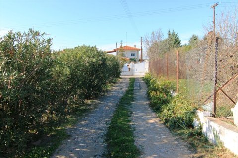 3 bedrooms Villa in Oraiokastro, Greece No. 59304 15