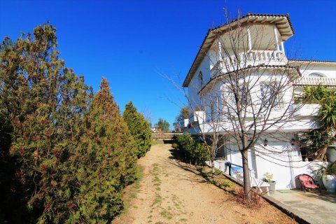 3 bedrooms Villa in Oraiokastro, Greece No. 59304 17