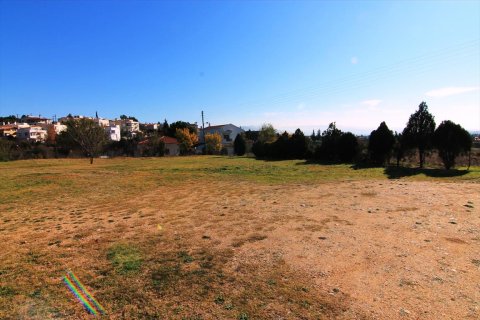 3 bedrooms Villa in Oraiokastro, Greece No. 59304 13