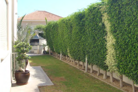 5 bedrooms Villa in Agios Athanasios, Cyprus No. 30161 10