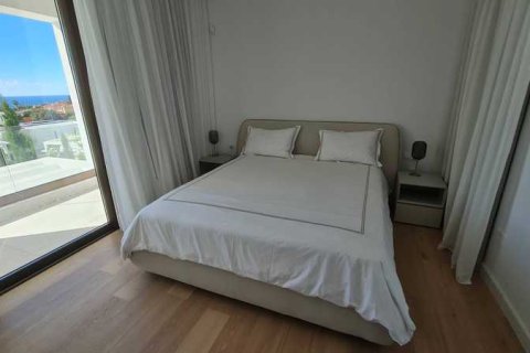 5 bedrooms Villa in Pegeia, Cyprus No. 80712 4