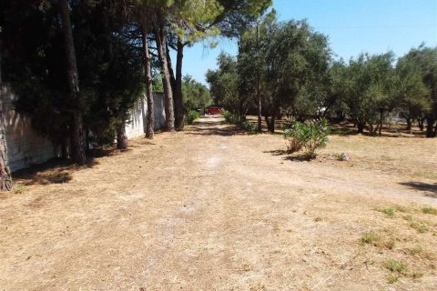 3 bedrooms House in Zakynthos, Greece No. 24697 8