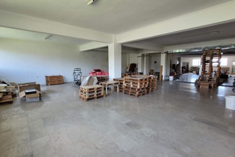 385m² Commercial property in Thessaloniki, Greece No. 107508 13