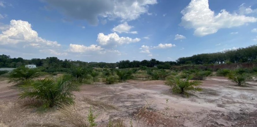 12400m² Land in Ao Nang, Thailand No. 97554