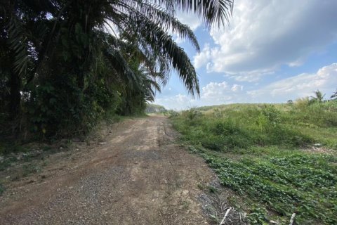12400m² Land in Ao Nang, Thailand No. 97554 8