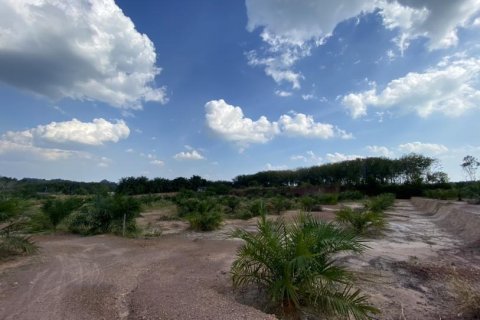 12400m² Land in Ao Nang, Thailand No. 97554 4