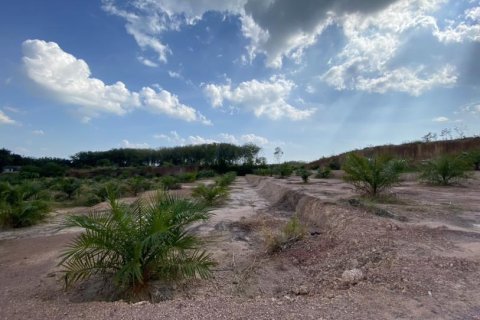 12400m² Land in Ao Nang, Thailand No. 97554 5