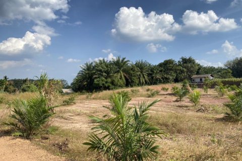 12400m² Land in Ao Nang, Thailand No. 97554 6