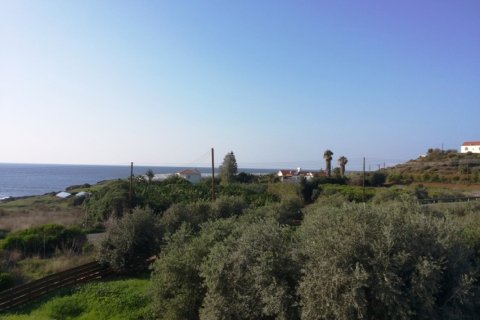 4 bedrooms Villa in Paphos, Cyprus No. 105587 15