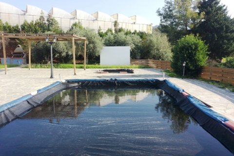 4 bedrooms Villa in Paphos, Cyprus No. 105587 12