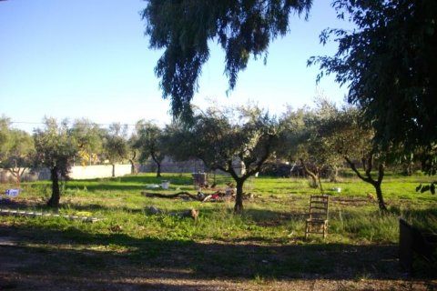 House en Zakynthos, Greece No. 24688 13