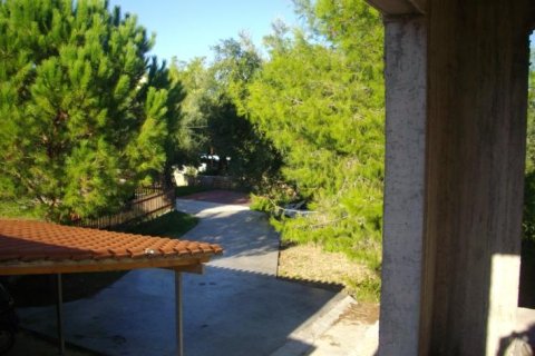 House en Zakynthos, Greece No. 24688 8