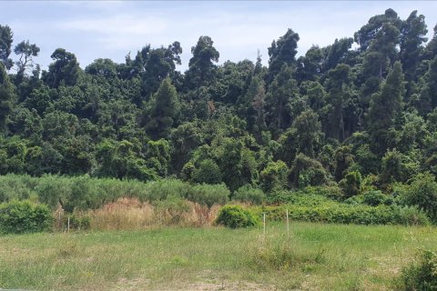 Земельный участок 1858м² в Халкидики, Греция №56561 5