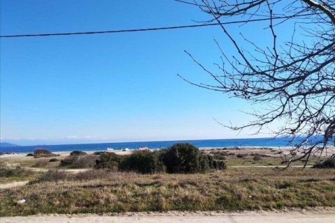 3 dormitorios House en Chalkidiki, Greece No. 108671 26