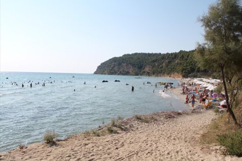 13500m² Land in Chalkidiki, Greece No. 60621 6