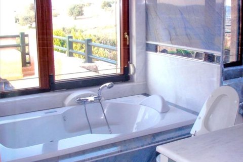 6 bedrooms House in Saronida, Greece No. 59266 5