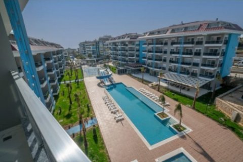 2 chambres Penthouse à Tri Phuong, Vietnam No. 12787 1