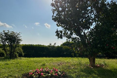 8 bedrooms Villa in Khanh Hoa, Vietnam No. 15375 5