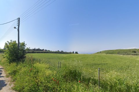 13500m² Land in Epanomi, Greece No. 108540 6