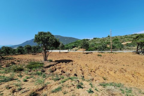 5121m² Land in Corfu, Greece No. 107590 3