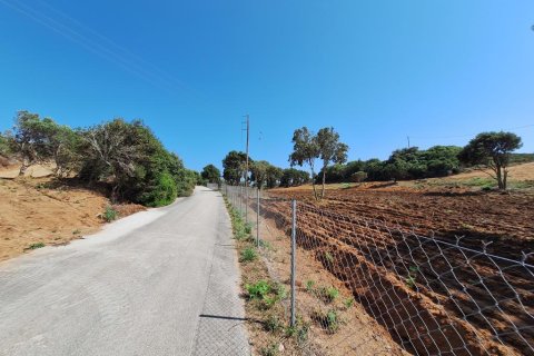 5121m² Land in Corfu, Greece No. 107590 10