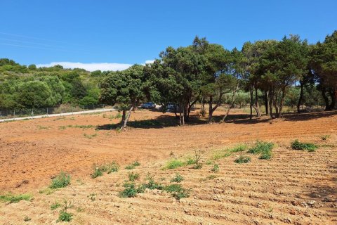 5121m² Land in Corfu, Greece No. 107590 6