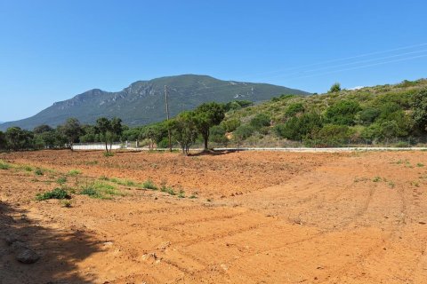 5121m² Land in Corfu, Greece No. 107590 5