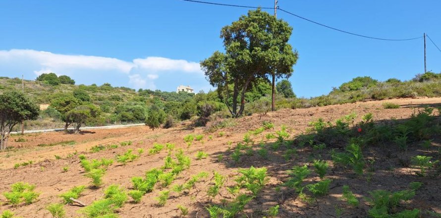 5121m² Land in Corfu, Greece No. 107590