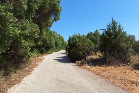 5121m² Land in Corfu, Greece No. 107590 11