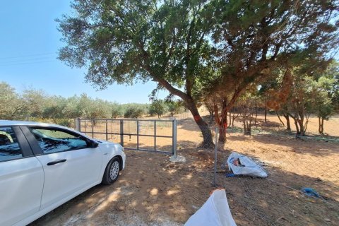 5121m² Land in Corfu, Greece No. 107590 17