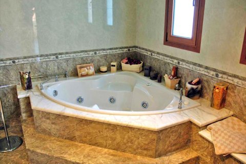 5 dormitorios Villa en Palaia Fokaia, Greece No. 59545 17