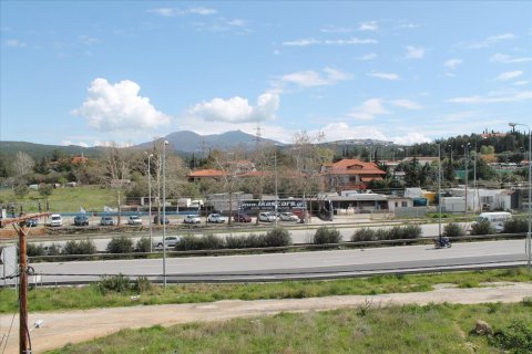 670m² Bâtiment à Pylaia, Greece No. 58213 15